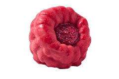 Fruit Mousse Cake Raspberry