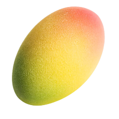 Fruit Mousse Cake Mango