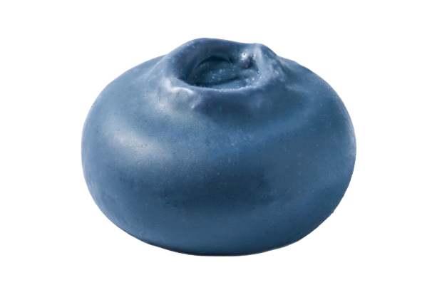 Fruit Mousse Cake Blueberry  	