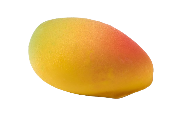 Fruit Mousse Cake Mango