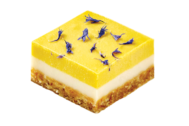 Lime Mango Bite